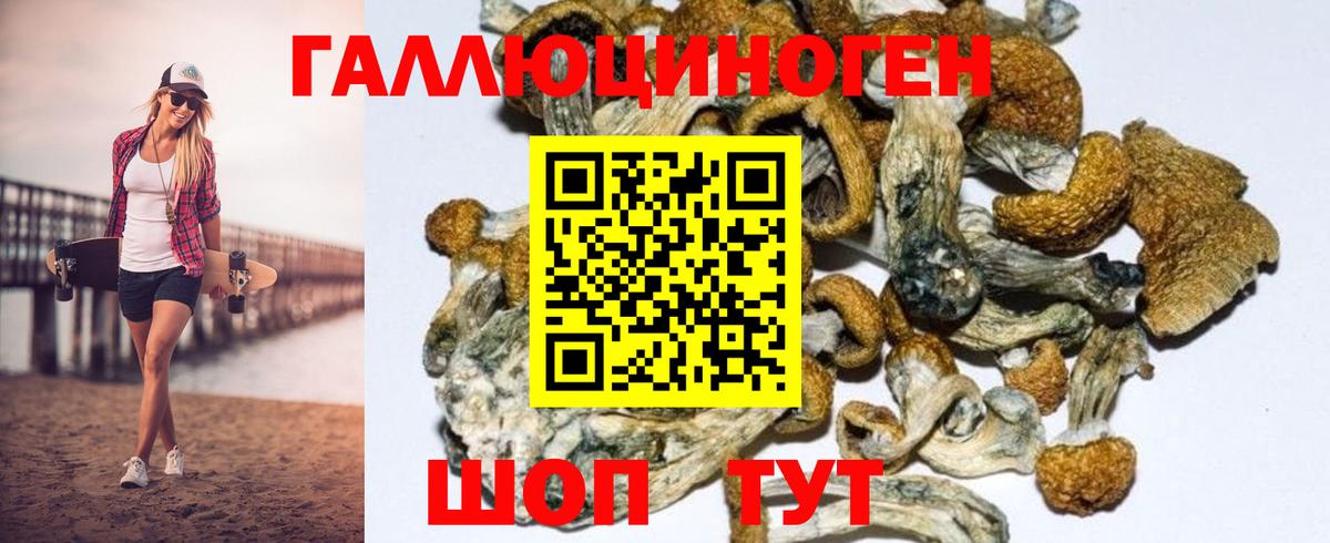 Псилоцибиновые грибы GOLDEN TEACHER  Галлюциногенные грибы MAGIC MUSHROOMS  Вход с VPN  Южноуральск 